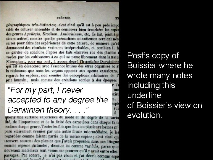 “For my part, I never accepted to any degree the Darwinian theory. . ”