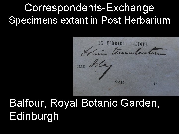 Correspondents-Exchange Specimens extant in Post Herbarium Balfour, Royal Botanic Garden, Edinburgh 