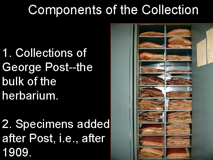 Components of the Collection 1. Collections of George Post--the bulk of the herbarium. 2.