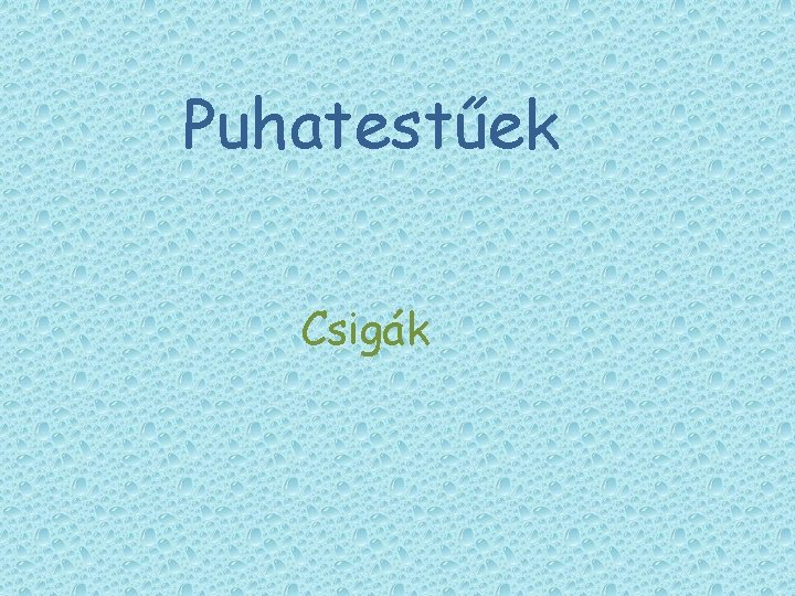Puhatestűek Csigák Puhatestűek Csigák
