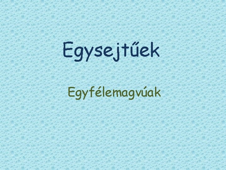 Egysejtűek Egyfélemagvúak Egysejtűek Egyfélemagvúak