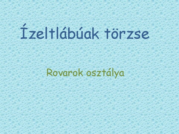 Ízeltlábúak törzse Rovarok osztálya Ízeltlábúak törzse Rovarok osztálya