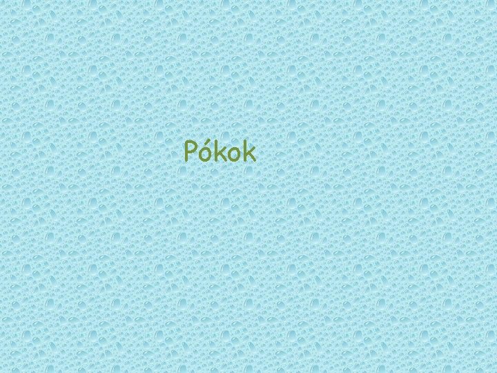 Pókok Pókok