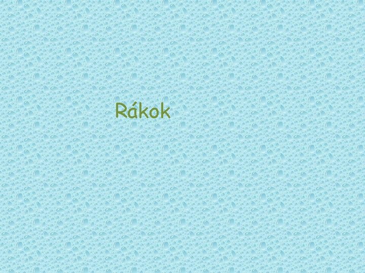 Rákok Rákok