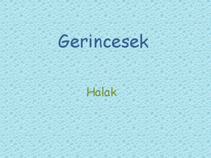 Gerincesek Halak Gerincesek Halak