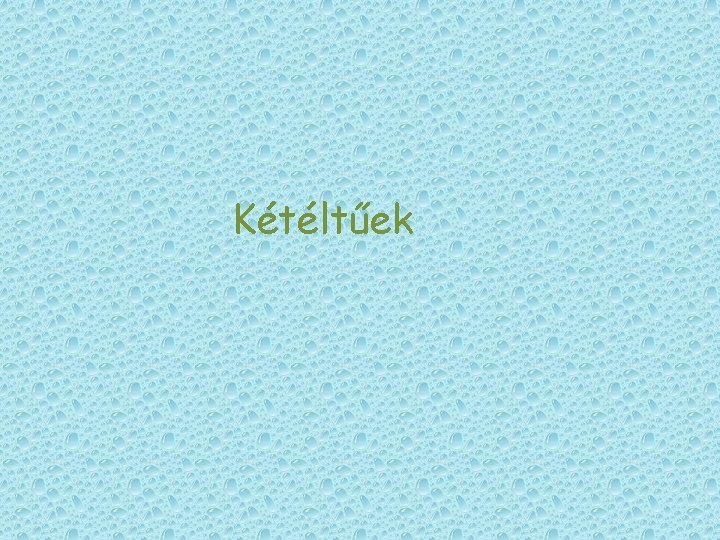 Kétéltűek Kétéltűek