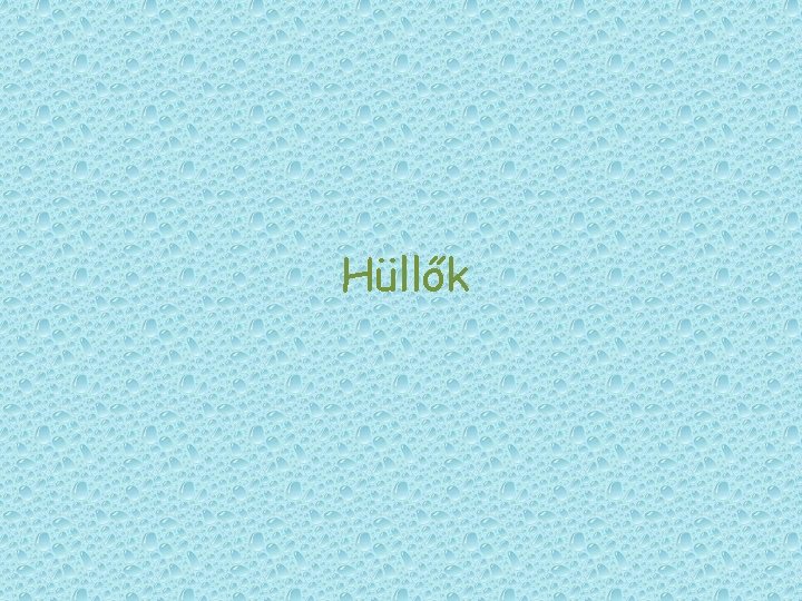 Hüllők Hüllők