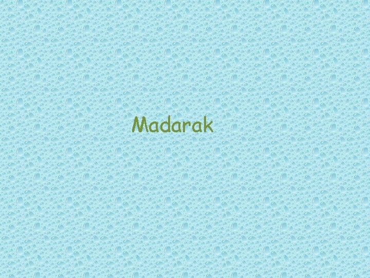 Madarak Madarak