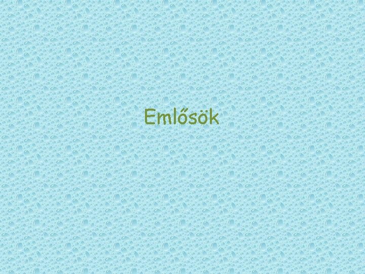 Emlősök Emlősök