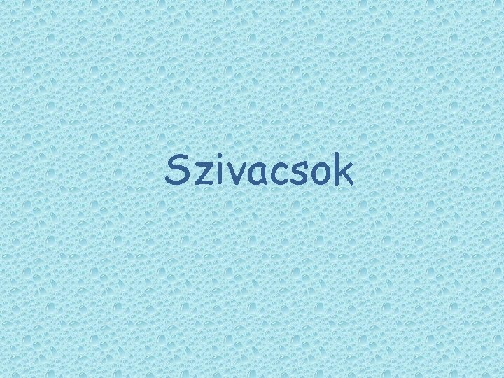 Szivacsok Szivacsok