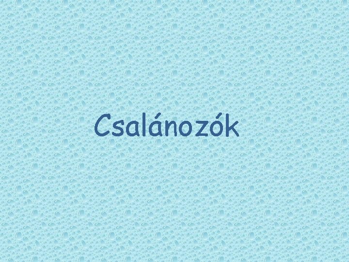 Csalánozók Csalánozók