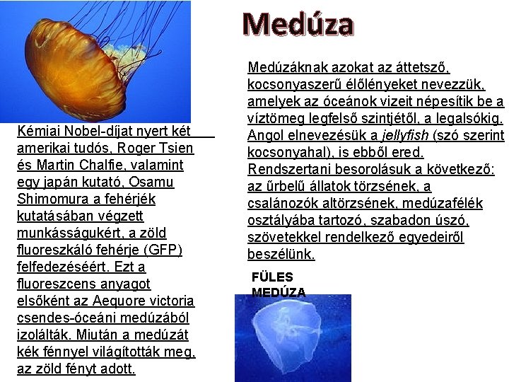 Medúza Kémiai Nobel-díjat nyert két amerikai tudós, Roger Tsien és Martin Chalfie, valamint egy Medúza Kémiai Nobel-díjat nyert két amerikai tudós, Roger Tsien és Martin Chalfie, valamint egy