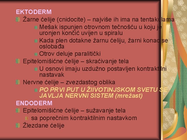 EKTODERM Žarne ćelije (cnidocite) – najviše ih ima na tentakulama Mešak ispunjen otrovnom tečnošću