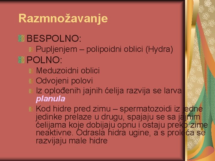 Razmnožavanje BESPOLNO: Pupljenjem – polipoidni oblici (Hydra) POLNO: Meduzoidni oblici Odvojeni polovi Iz oplođenih
