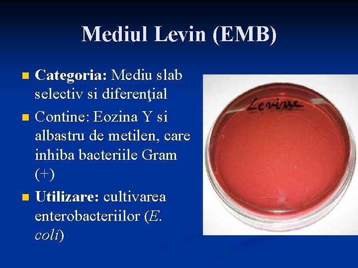 Mediul Levin (EMB) Categoria: Mediu slab selectiv si diferenţial n Contine: Eozina Y si