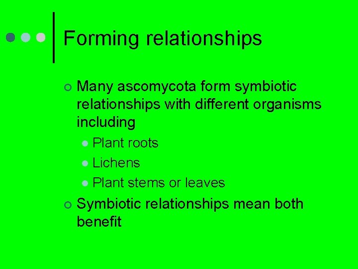 Forming relationships ¢ Many ascomycota form symbiotic relationships with different organisms including Plant roots