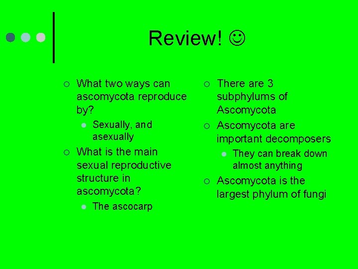 Review! ¢ What two ways can ascomycota reproduce by? l ¢ Sexually, and asexually