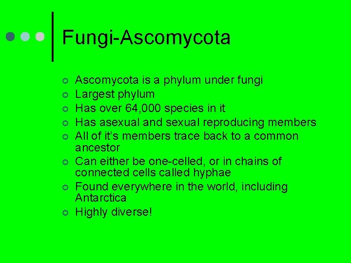 Fungi-Ascomycota ¢ ¢ ¢ ¢ Ascomycota is a phylum under fungi Largest phylum Has