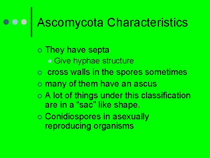 Ascomycota Characteristics ¢ They have septa l Give hyphae structure cross walls in the
