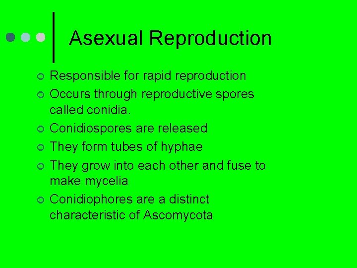 Asexual Reproduction ¢ ¢ ¢ Responsible for rapid reproduction Occurs through reproductive spores called