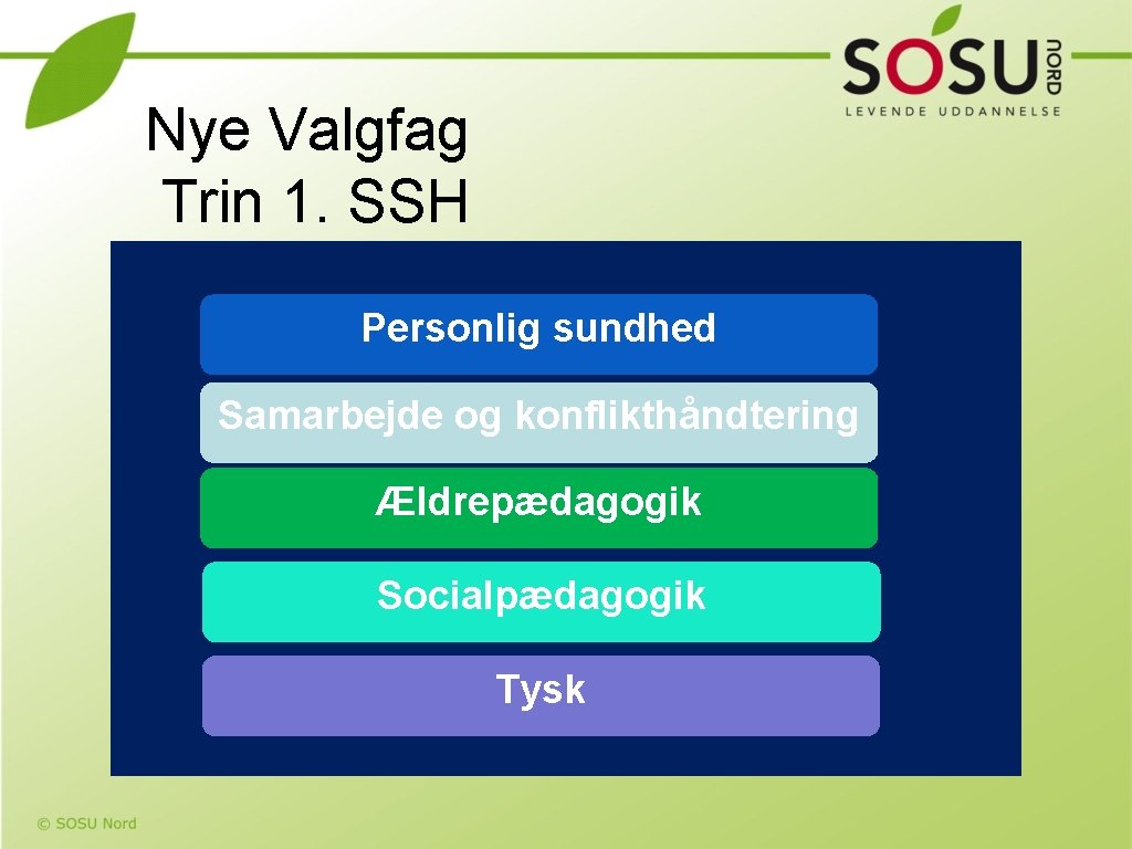 Nye Valgfag Trin 1. SSH Personlig sundhed Samarbejde og konflikthåndtering Ældrepædagogik Socialpædagogik Tysk 