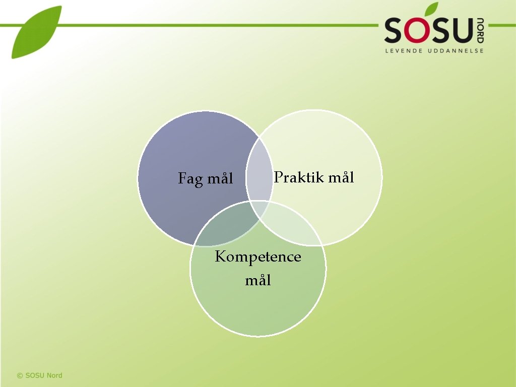 Fag mål Praktik mål Kompetence mål 