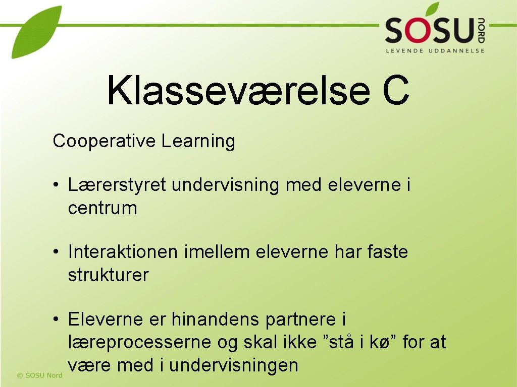 Klasseværelse C Cooperative Learning • Lærerstyret undervisning med eleverne i centrum • Interaktionen imellem