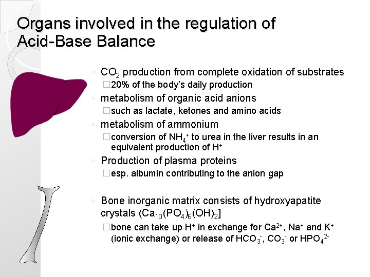 Organs involved in the regulation of Acid-Base Balance ◦ CO 2 production from complete Organs involved in the regulation of Acid-Base Balance ◦ CO 2 production from complete