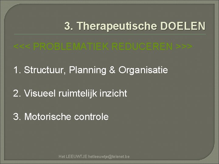 3. Therapeutische DOELEN <<< PROBLEMATIEK REDUCEREN >>> 1. Structuur, Planning & Organisatie 2. Visueel