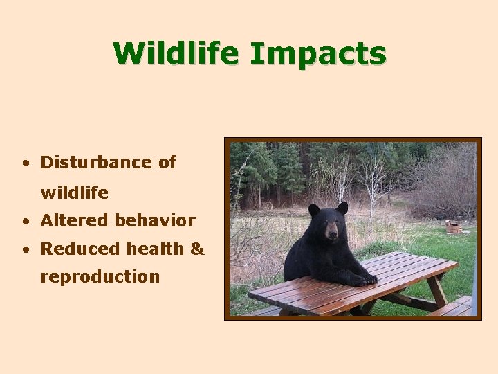 Wildlife Impacts • Disturbance of wildlife • Altered behavior • Reduced health & reproduction