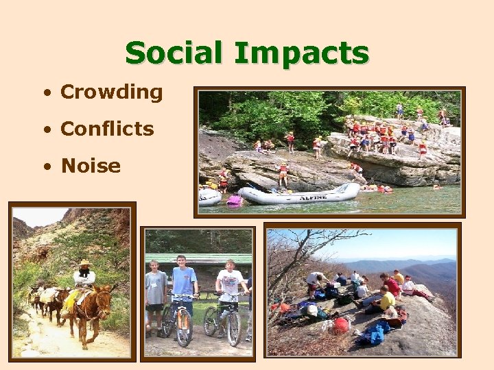 Social Impacts • Crowding • Conflicts • Noise 