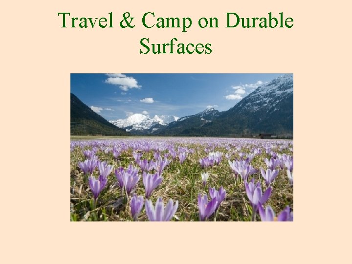 Travel & Camp on Durable Surfaces 
