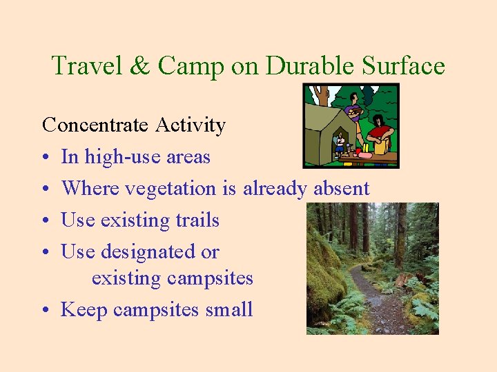 Travel & Camp on Durable Surface Concentrate Activity • In high-use areas • Where