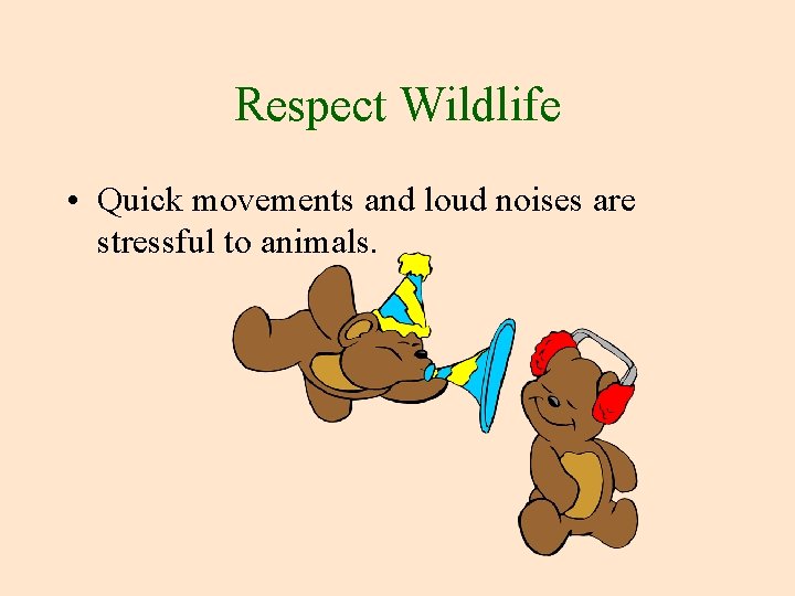 Respect Wildlife • Quick movements and loud noises are stressful to animals. 