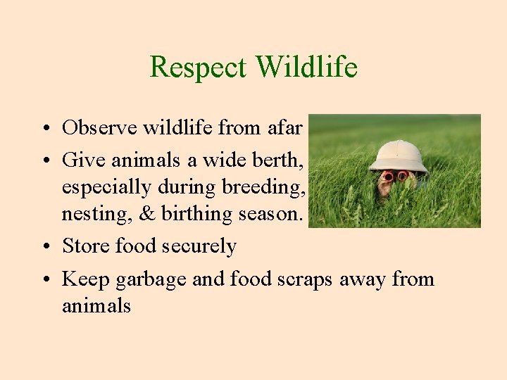 Respect Wildlife • Observe wildlife from afar • Give animals a wide berth, especially