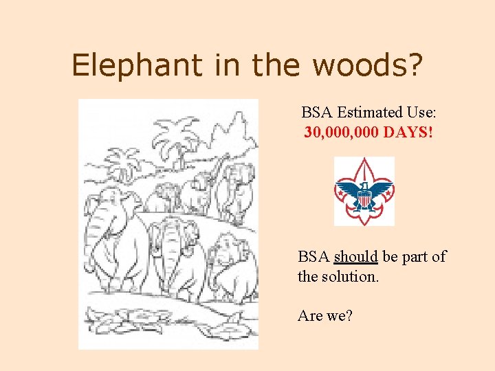 Elephant in the woods? BSA Estimated Use: 30, 000 DAYS! BSA should be part