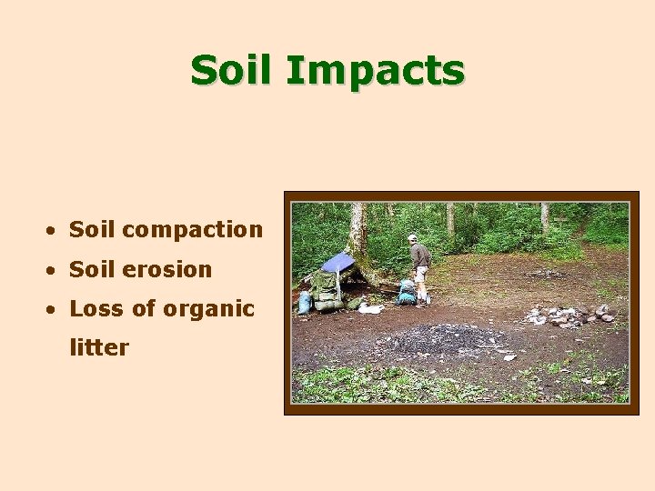 Soil Impacts • Soil compaction • Soil erosion • Loss of organic litter 