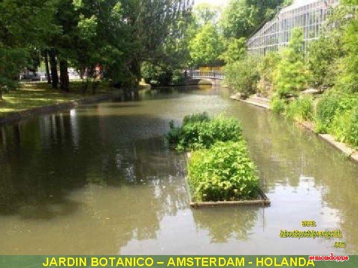 JARDIN BOTANICO – AMSTERDAM - HOLANDA 