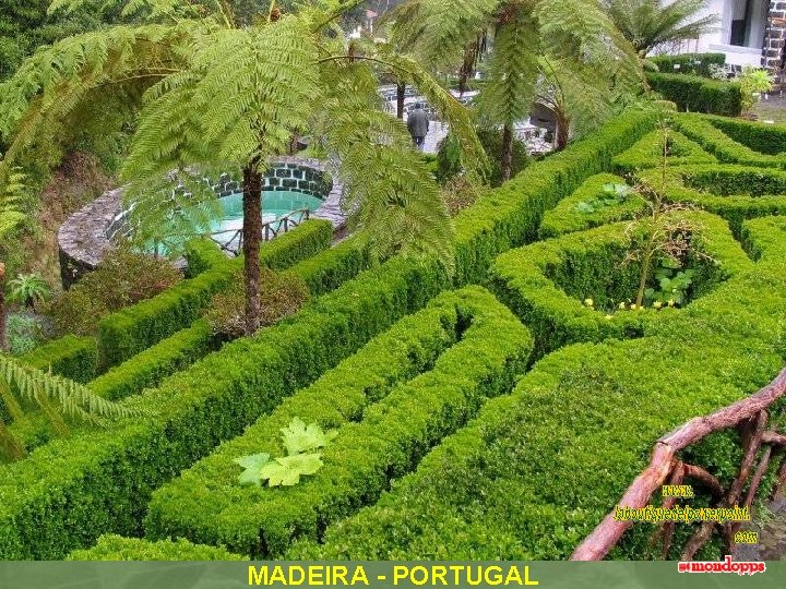 MADEIRA - PORTUGAL 