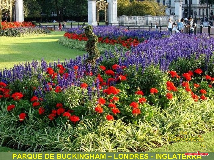 PARQUE DE BUCKINGHAM – LONDRES - INGLATERRA 