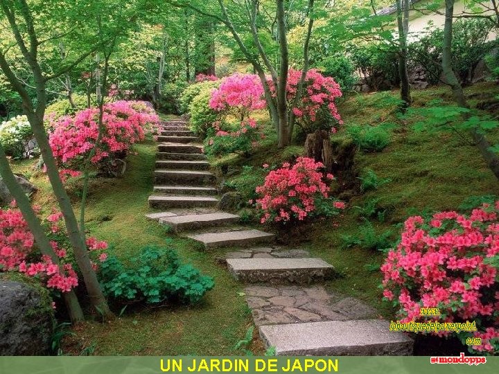 UN JARDIN DE JAPON 