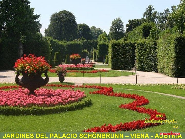 JARDINES DEL PALACIO SCHÖNBRUNN – VIENA - AUSTRIA 