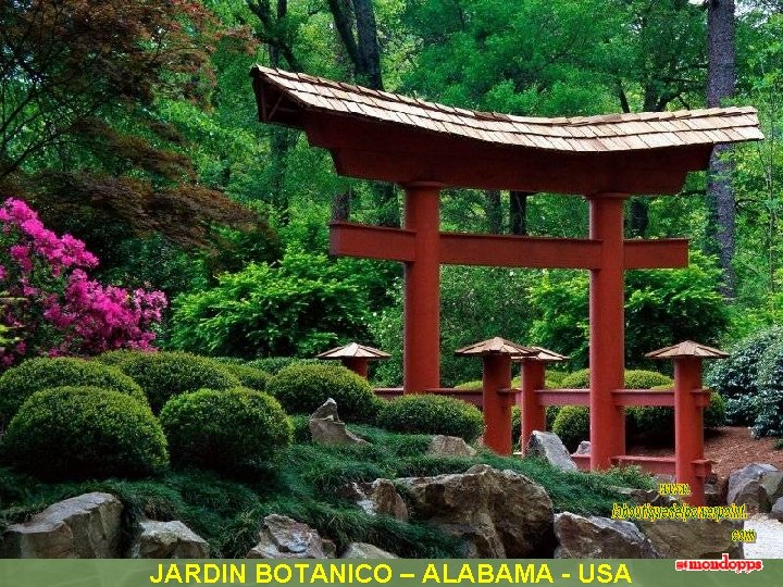 JARDIN BOTANICO – ALABAMA - USA 