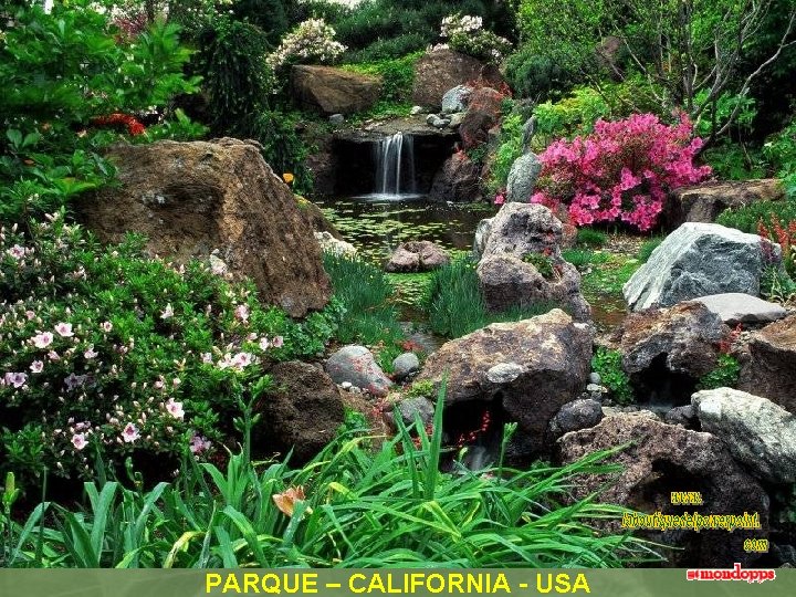 PARQUE – CALIFORNIA - USA 