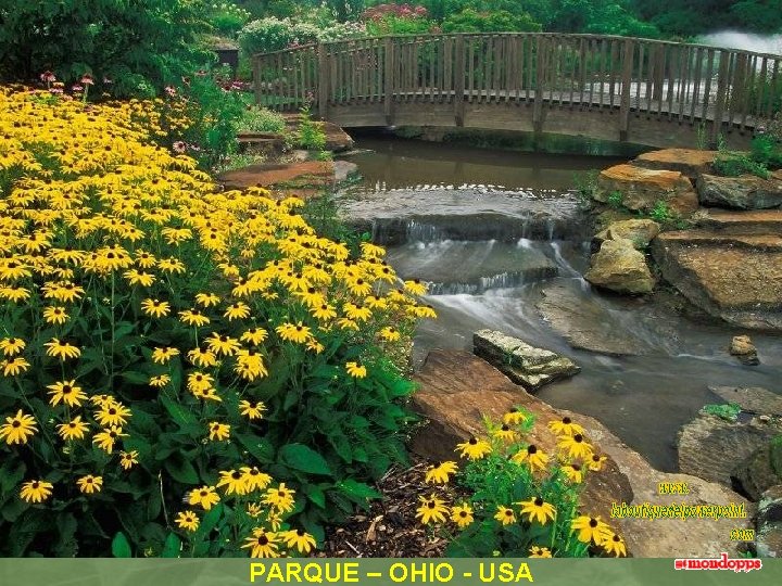 PARQUE – OHIO - USA 