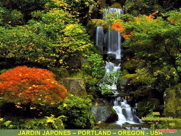 JARDIN JAPONES – PORTLAND – OREGON - USA 