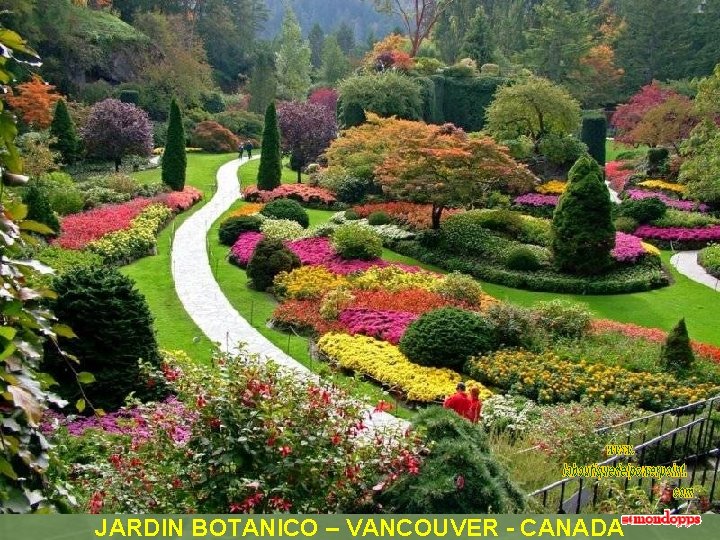 JARDIN BOTANICO – VANCOUVER - CANADA 