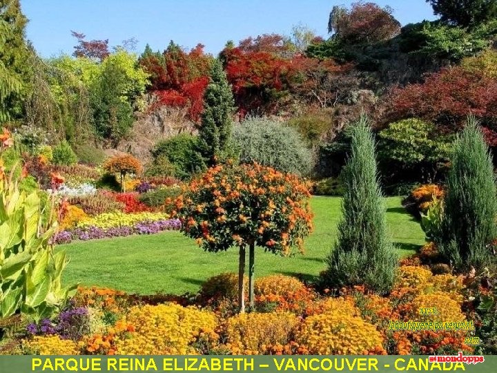 PARQUE REINA ELIZABETH – VANCOUVER - CANADA 