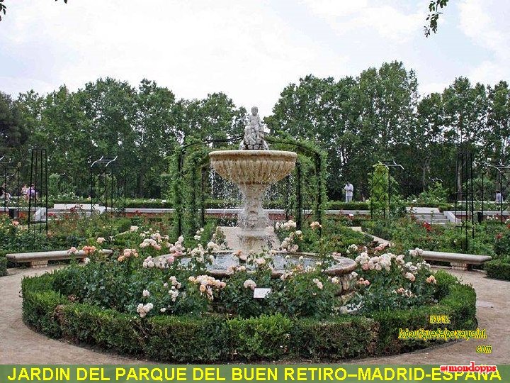 JARDIN DEL PARQUE DEL BUEN RETIRO–MADRID-ESPAÑA 