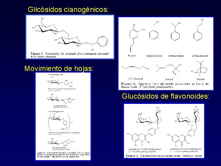 Glicósidos cianogénicos: Precursores de aroma: Movimiento de hojas: Glucósidos de flavonoides: 